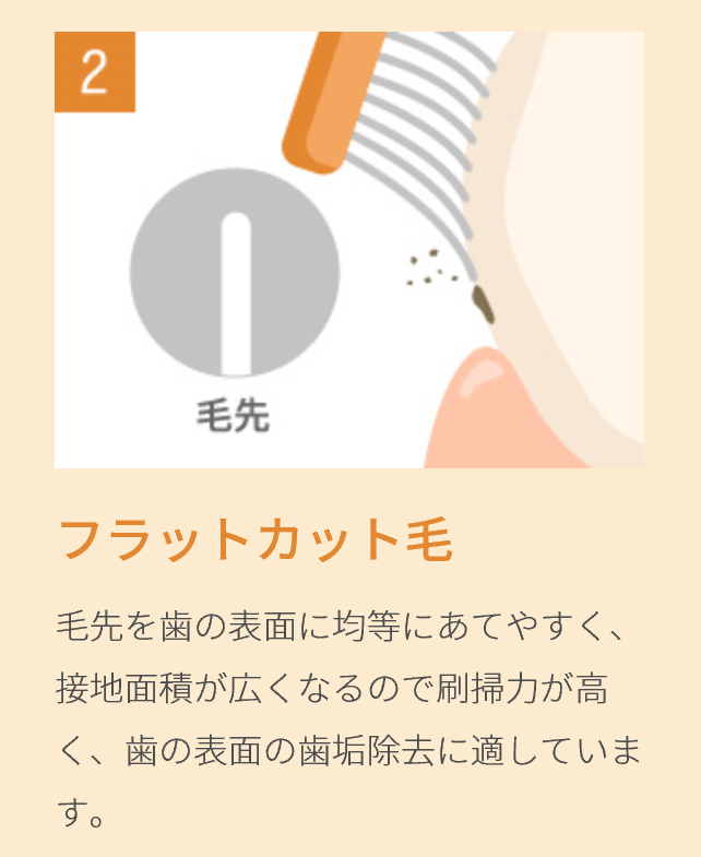 mon seule しっかり奥歯ケア用